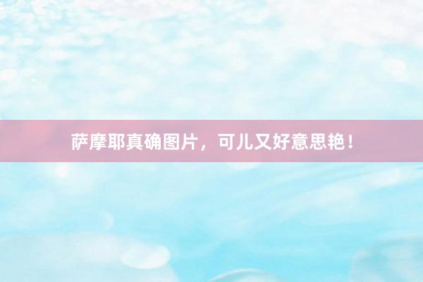 萨摩耶真确图片，可儿又好意思艳！